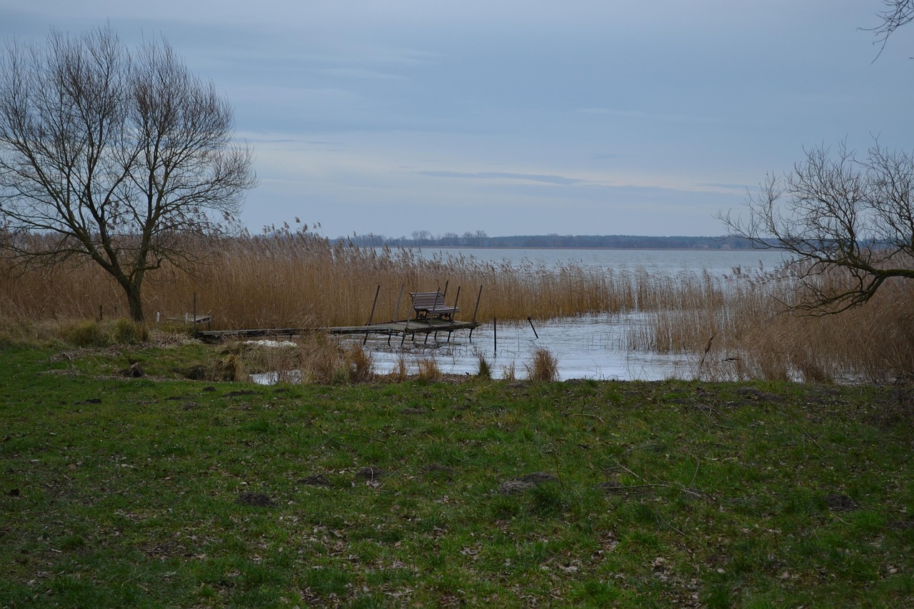 Sala Usedom, Internetas, Medis, Upės Kraštovaizdis, Gamta, Vanduo, Nemokamos Nuotraukos,  Nemokama Licenzija