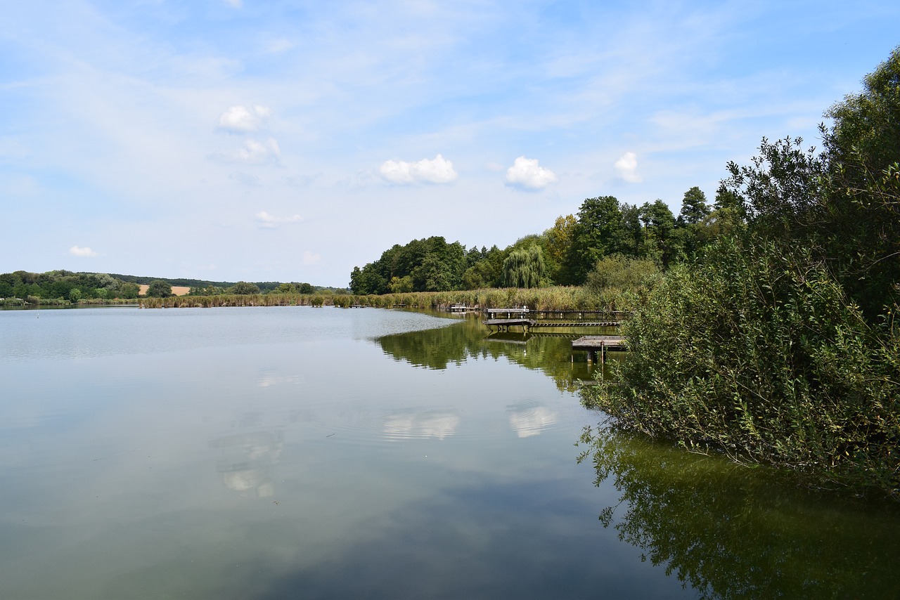 Ežeras, Vanduo, Gamta, Kranto, Kraštovaizdis, Nendrė, Žalias, Vandens Augalas, Mėlynas, Atspindys