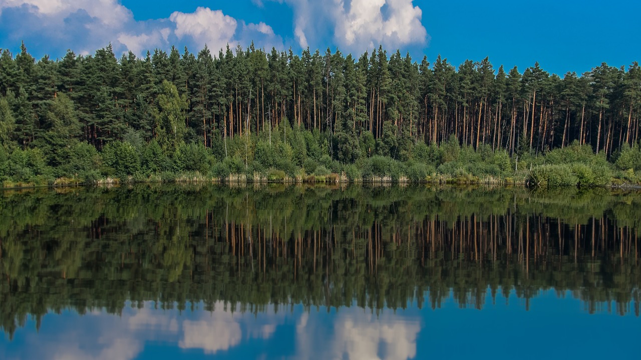 Ežeras, Tvenkinys, Vanduo, Miškas, Gamta, Ežero Vaizdas, Darbalaukio Fonas, Idilija, Kraštovaizdis, Apmąstymai