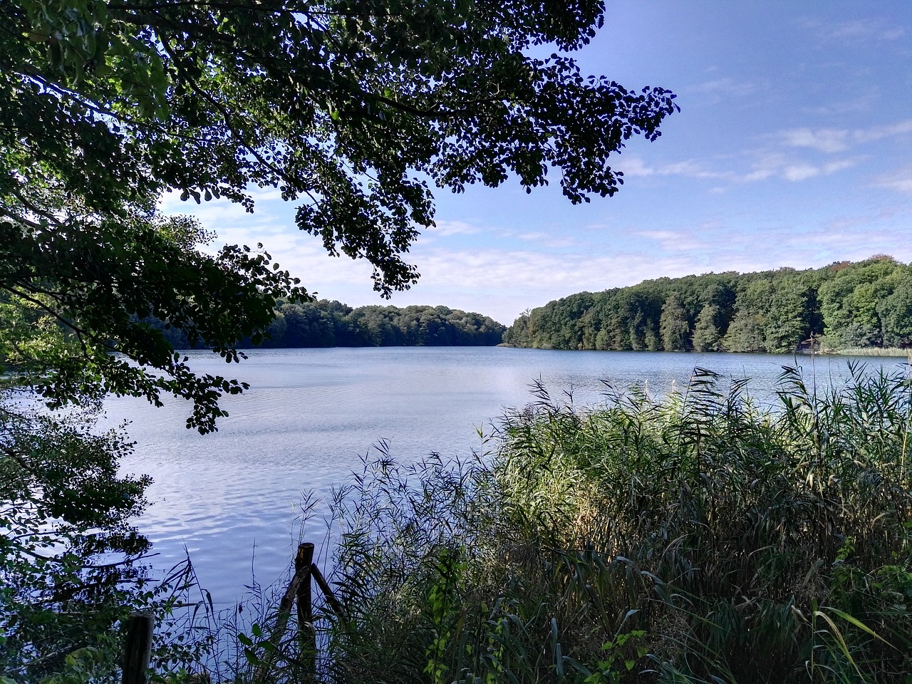 Ežeras, Vanduo, Žygiai, Ruduo, Vasaros Pabaigoje, Vandenys, Schlachtensee, Berlynas, Vasara, Atspindys