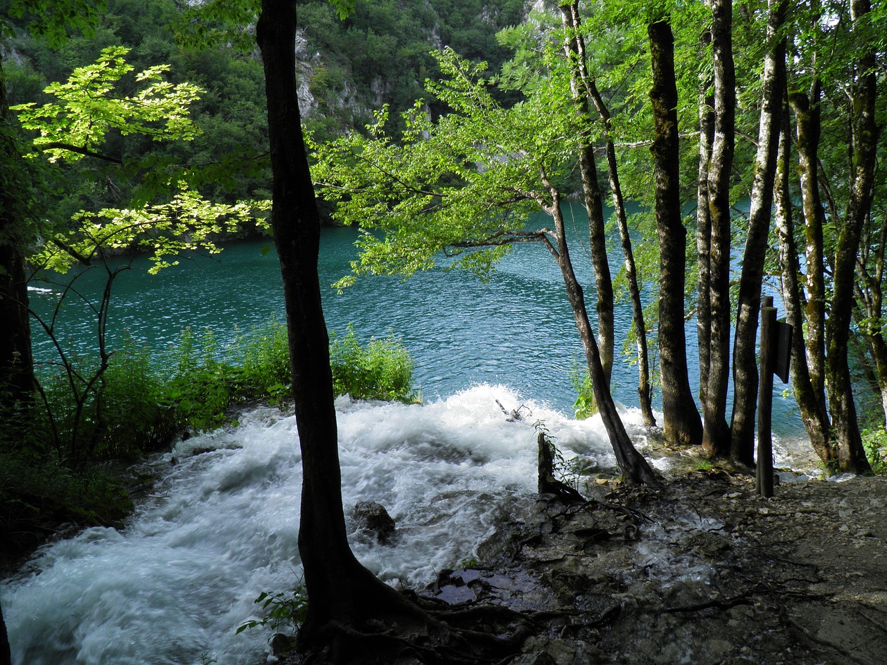 Ežeras, Vanduo, Medis, Kraštovaizdis, Gamta, Parkas, Nemokamos Nuotraukos,  Nemokama Licenzija