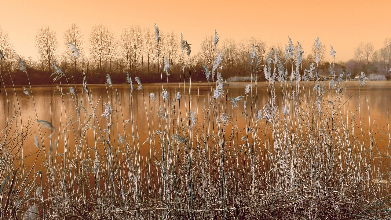 Ežeras, Nendrė, Afterglow, Žiema, Ledas, Saulėlydis, Nuotaika, Dusk, Hamelinas, Žvyro Tvenkinys