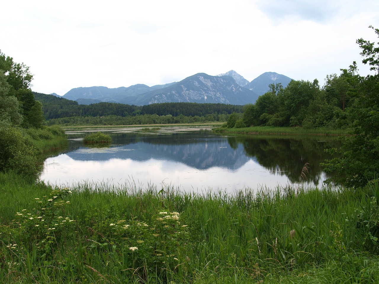 Ežeras, Kraštovaizdis, Gamta, Kiauras, Miškas, Nendrė, Žygiai, Gamtos Apsauga, Gamtos Rezervatas, Augti