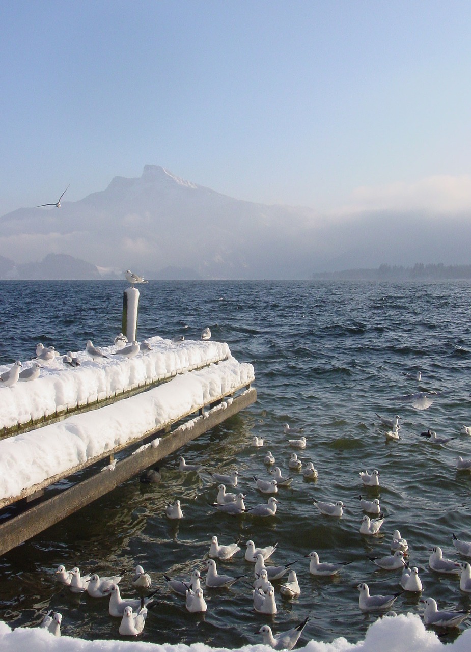 Ežeras, Mondsee, Žiema, Internetas, Ežero Promenada, Avių Kalnas, Salzkammergut, Nemokamos Nuotraukos,  Nemokama Licenzija