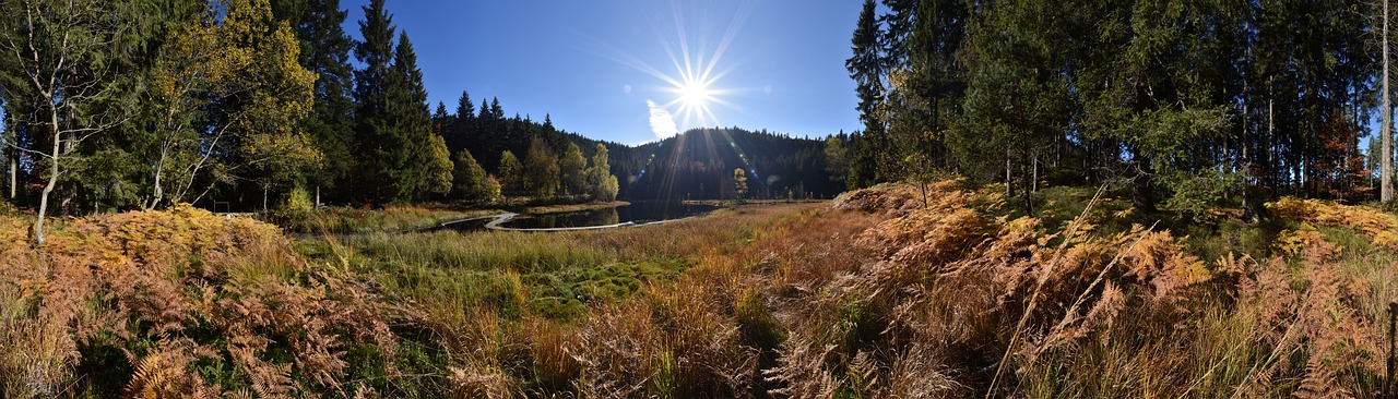 Ežeras, Lake Carezza, Buhl Ežeras, Kraštovaizdis, Panorama, Waldsee, Ruduo, Juodasis Miškas, Vanduo, Gamta