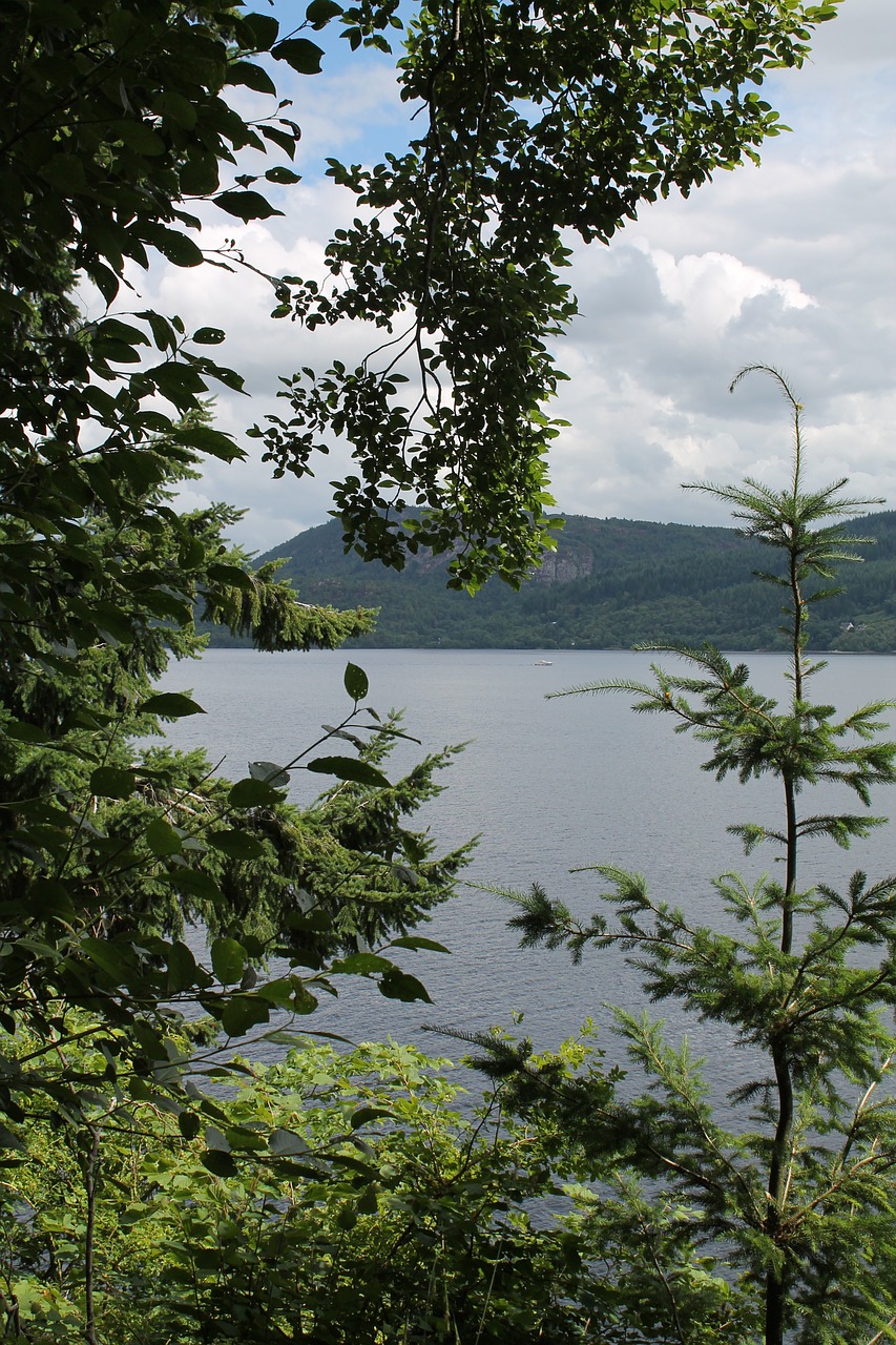 Ežeras, Lochess, Kraštovaizdis, Vanduo, Medis, Nemokamos Nuotraukos,  Nemokama Licenzija