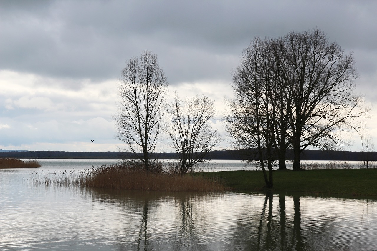 Ežeras, Medis, Vakaras, Debesų Ežeras, Nemokamos Nuotraukos,  Nemokama Licenzija