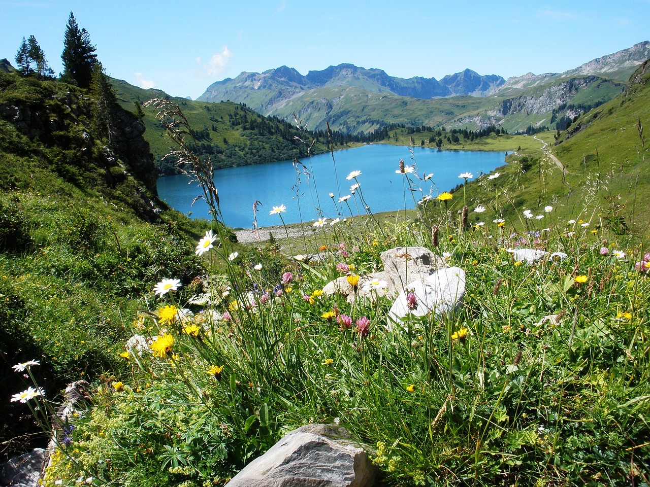 Ežeras, Alpės, Engelberg, Šveicarija, Kalnas, Žalias, Kraštovaizdis, Nemokamos Nuotraukos,  Nemokama Licenzija