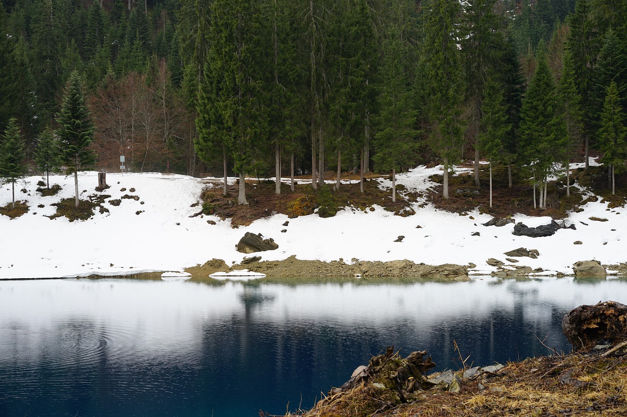 Ežeras, Sniegas, Kraštovaizdis, Žiema, Bergsee, Alpių, Medžiai, Miškas, Ledas, Šveicarija