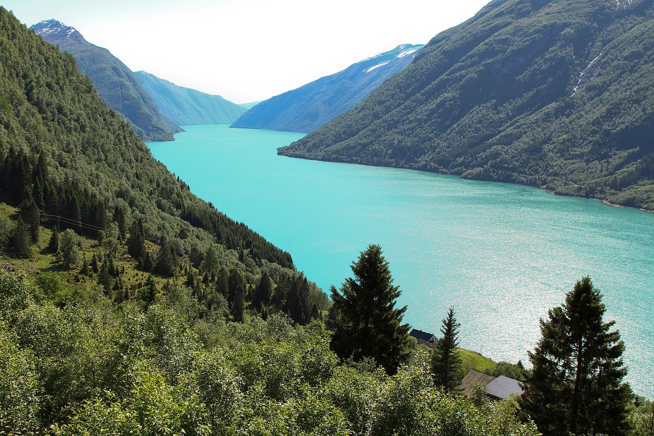 Ežeras, Mėlynas, Vanduo, Žalias, Medžiai, Augalas, Miškas, Kalnas, Highland, Gamta