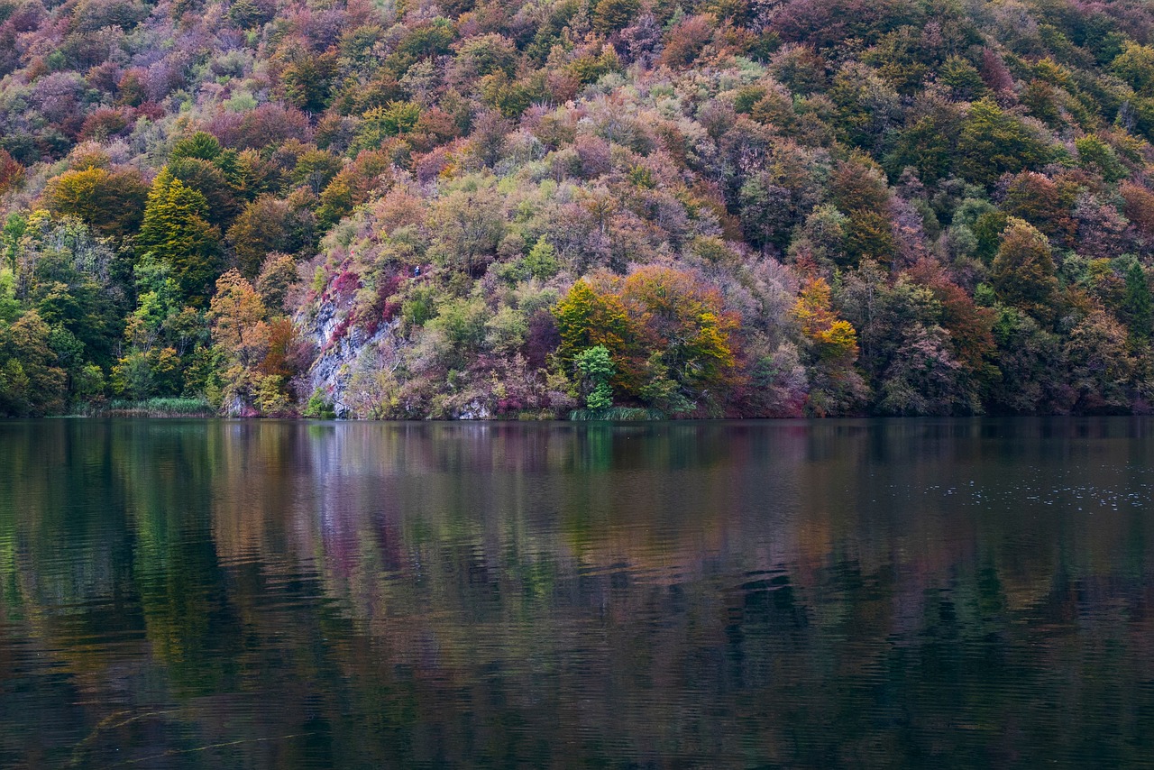 Ežeras, Vanduo, Gamta, Kalnas, Kraštovaizdis, Medžiai, Augalai, Žolė, Ruduo, Kritimas