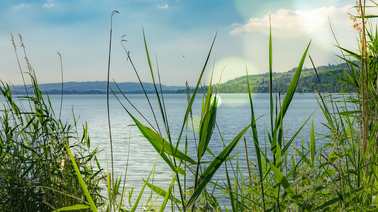 Ežeras, Išvirtimas, Vanduo, Gamta, Vasara, Lauke, Saulės Šviesa, Saulė, Laisvalaikis, Objektyvas