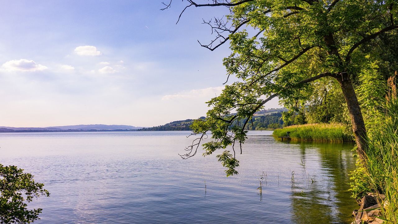 Ežeras, Išvirtimas, Vanduo, Gamta, Vasara, Lauke, Saulės Šviesa, Saulė, Laisvalaikis, Objektyvas