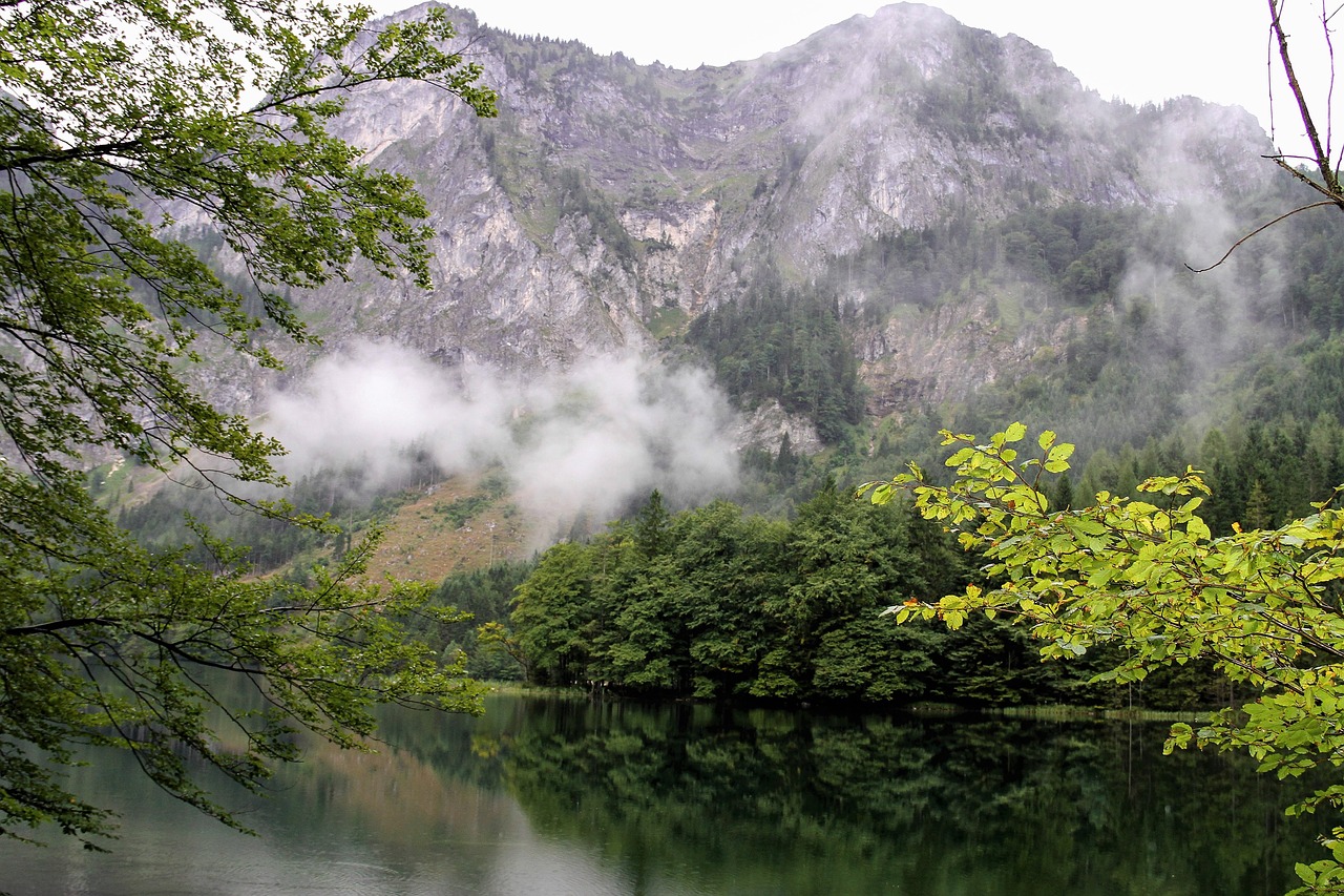 Ežeras, Kalnai, Rūkas, Gamta, Lietus, Žalias, Medis, Atspindys Vandenyje, Vanduo, Lapai