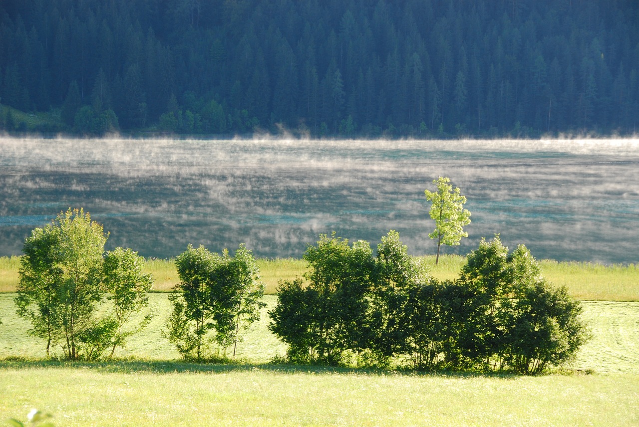 Ežeras, Rūkas, Kraštovaizdis, Karintija, Ežeras Weissensee, Nuotaika, Saulėtekis, Žemės Rūkas, Vanduo, Gamta