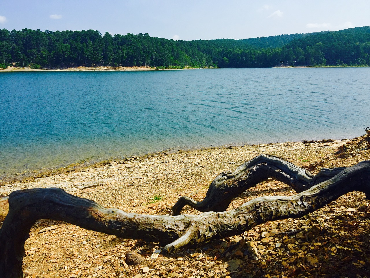 Ežeras, Ouachita, Arkansas, Nemokamos Nuotraukos,  Nemokama Licenzija