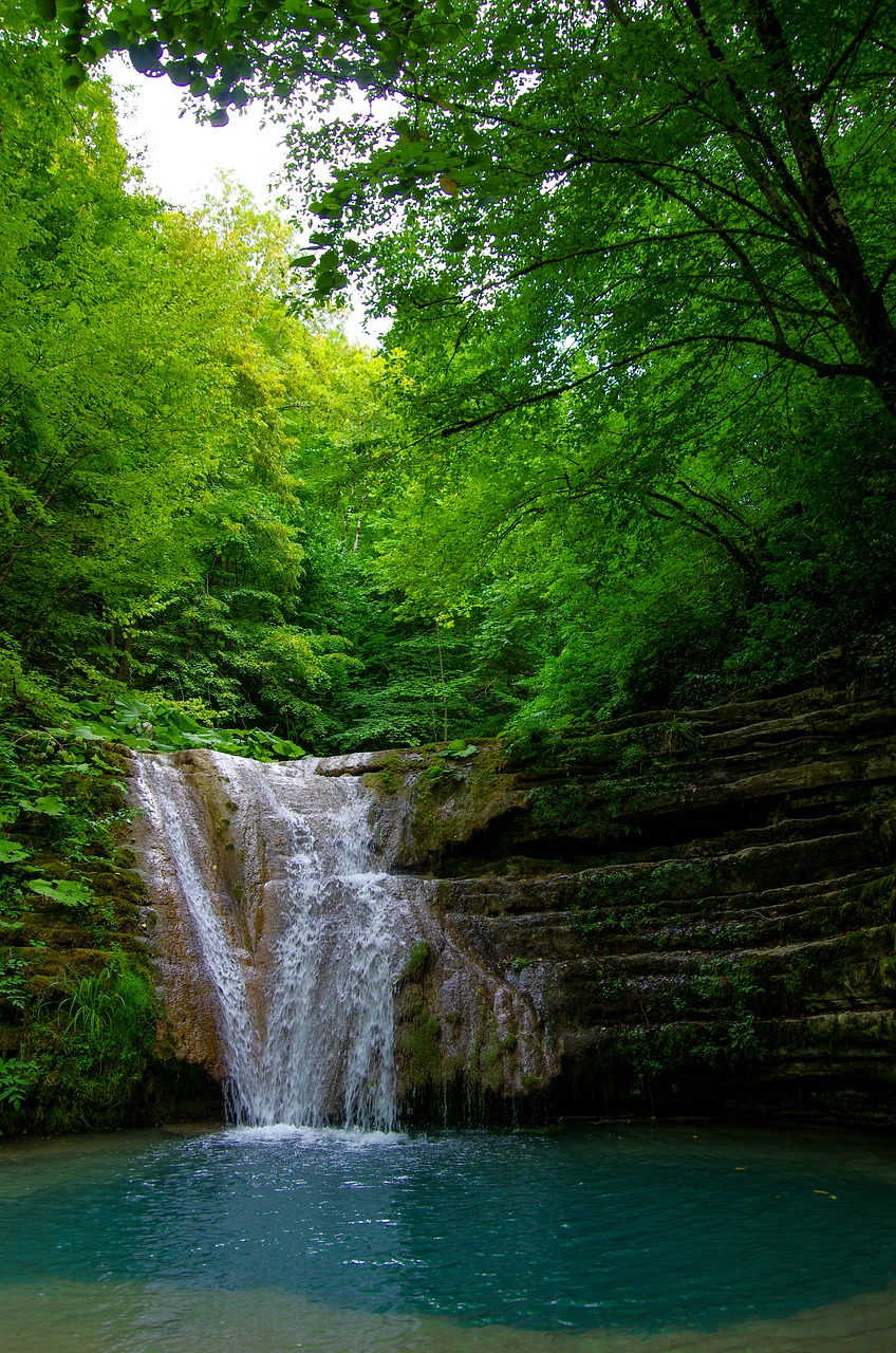 Ežeras, Miškas, Krioklys, Sinop, Medžiai, Žalias, Vanduo, Žmogus, Kraštovaizdis, Turkija