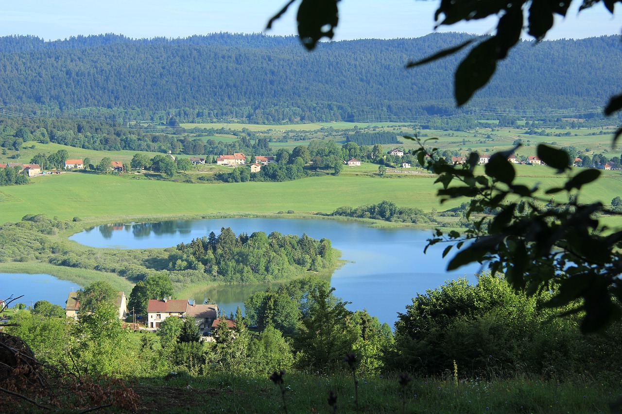 Ežeras, Jura, Laukas, Gamta, Nemokamos Nuotraukos,  Nemokama Licenzija