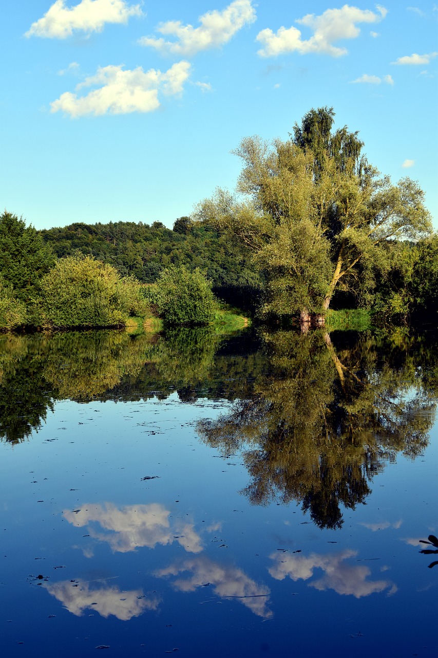 Ežeras, Medžiai, Gamta, Vanduo, Kraštovaizdis, Poilsio Zona, Veidrodiniai Medžiai, Vandenys, Veidrodis, Dangus