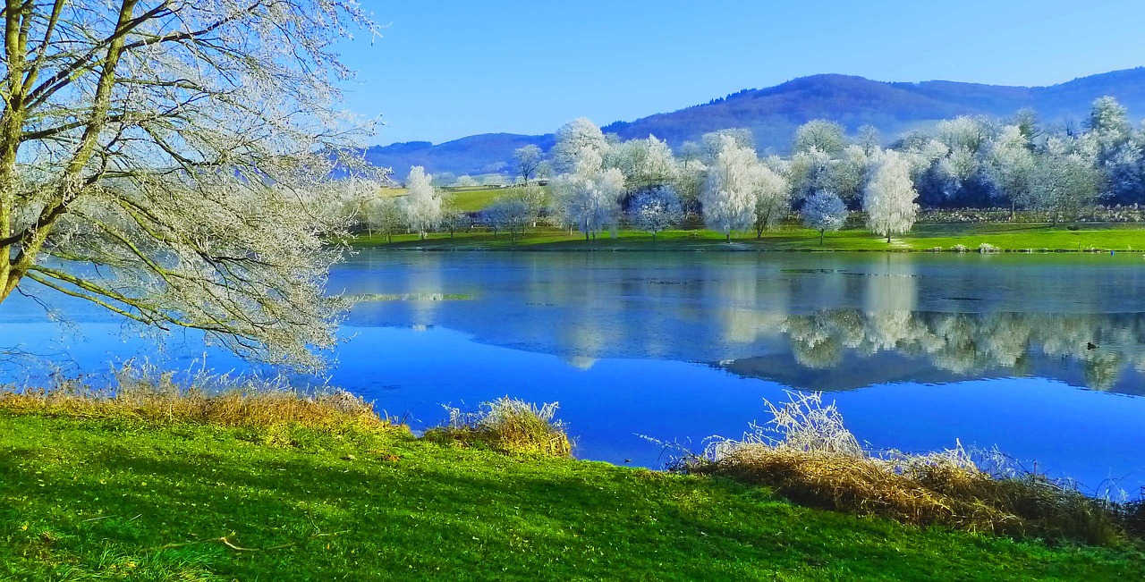 Ežeras, Žiemos, Žiemos Peizažas, France, Užšalęs Ežeras, Gamta, Šaltas, Dangus, Vanduo, Medžiai