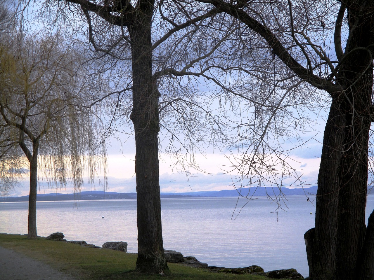 Ežeras, Bankas, Medžiai, Abendstimmung, Spalva, Idiliškas, Ežero Konstanta, Romanshorn, Šveicarija, Nemokamos Nuotraukos