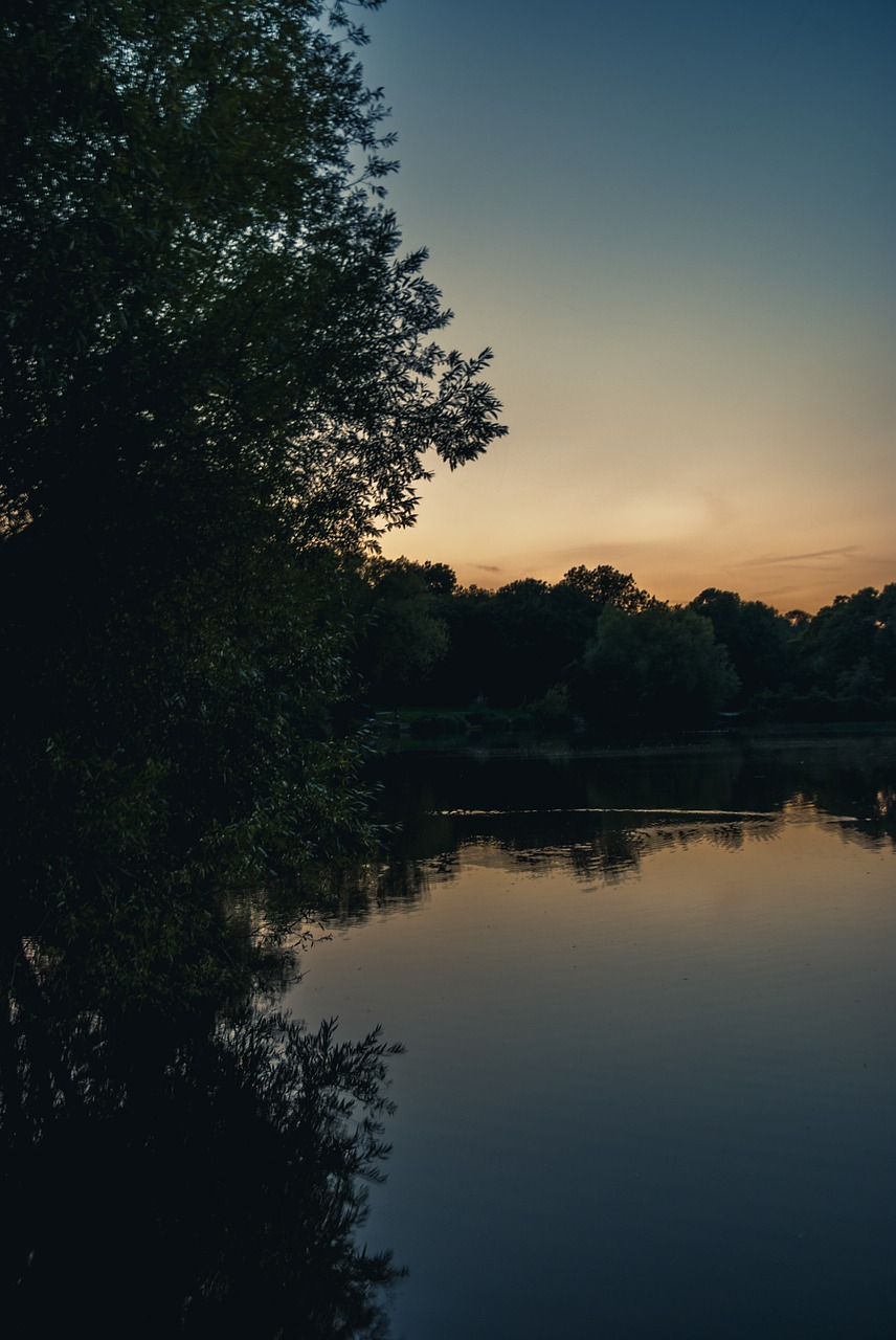 Ežeras, Vanduo, Gamta, Kraštovaizdis, Ramus, Twilight, Šviesa, Medžiai, Atspindys, Nemokamos Nuotraukos