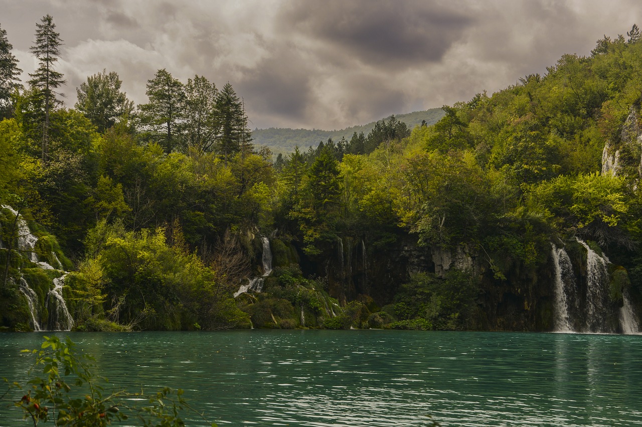 Ežeras, Medžiai, Kraštovaizdis, Gamta, Miškas, Parkas, Mediena, Natūralus, Žalias, Nemokamos Nuotraukos