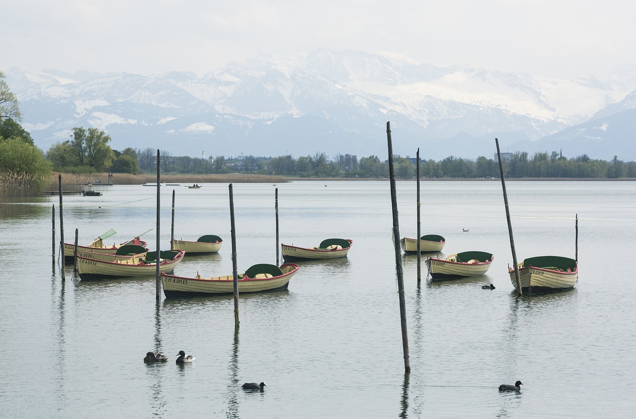 Ežeras, Gamta, Pfäffikersee, Šveicarija, Kraštovaizdis, Vanduo, Alpių, Valtys, Veidrodis, Žvejybos Laivai