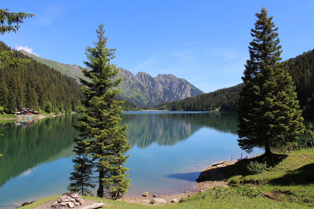 Ežeras, Kalnų Peizažas, Veidrodinis Vaizdas, Arnesee, Berni Oberland, Miškas, Šveicarija, Nemokamos Nuotraukos,  Nemokama Licenzija