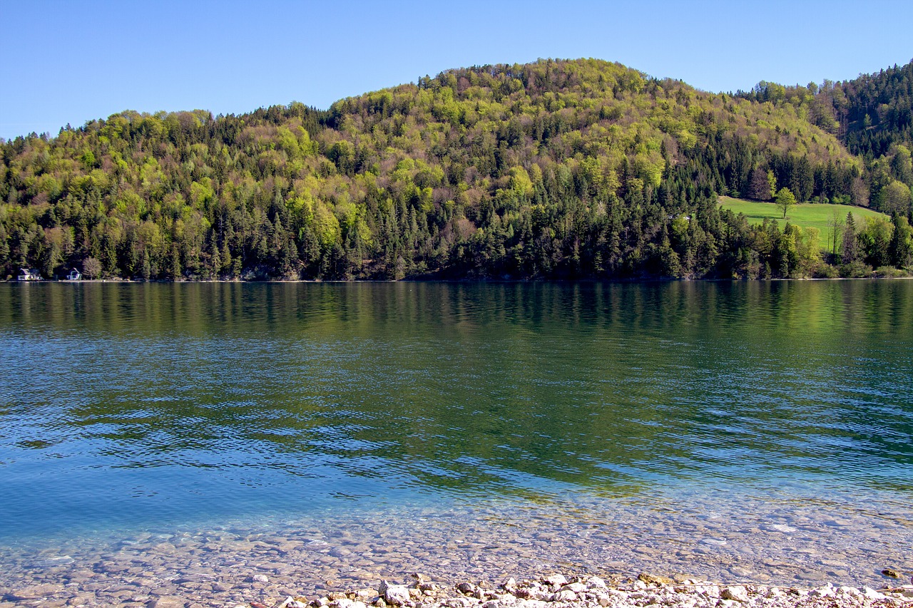 Ežeras,  Fuschlsee,  Vandenys,  Pobūdį,  Mėlynas Dangus,  Kraštovaizdis,  Austrija,  Salzkammergut,  Medžiai,  Saulės Šviesa