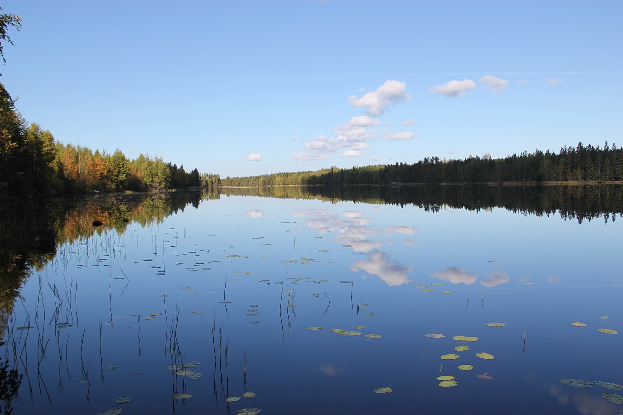 Ežeras,  Atspindys,  Vandens Kūnai,  Pobūdį,  Suomijos Kraštovaizdis,  Beach Cottage,  Papludimys,  Mėlynas Dangus,  Lauke,  Suomių