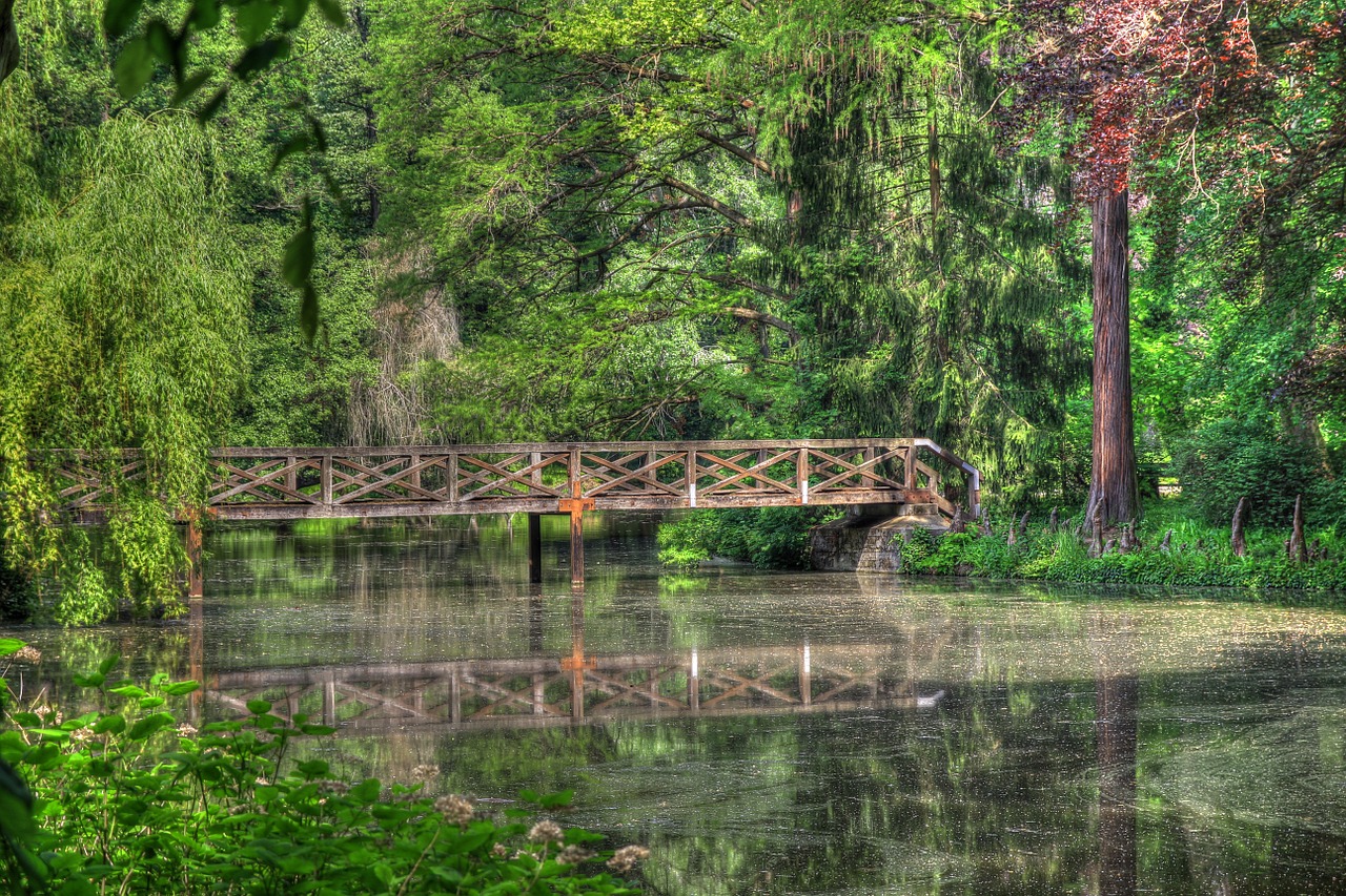 Ežeras, Tiltas, Miškas, Atspindys, Medžiai, Miškai, Lapija, Tvenkinys, Lauke, Lauke