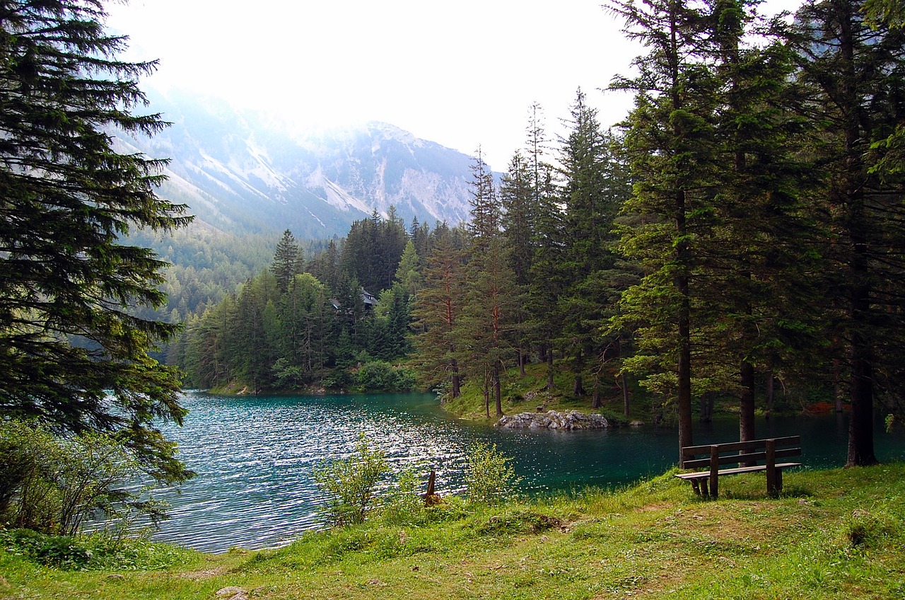 Ežeras,  Mediena,  Žalias,  Pobūdį,  Vandens,  Nuotaika,  Prisijungti,  Kraštovaizdis,  Lakeside,  Miškas Ežeras