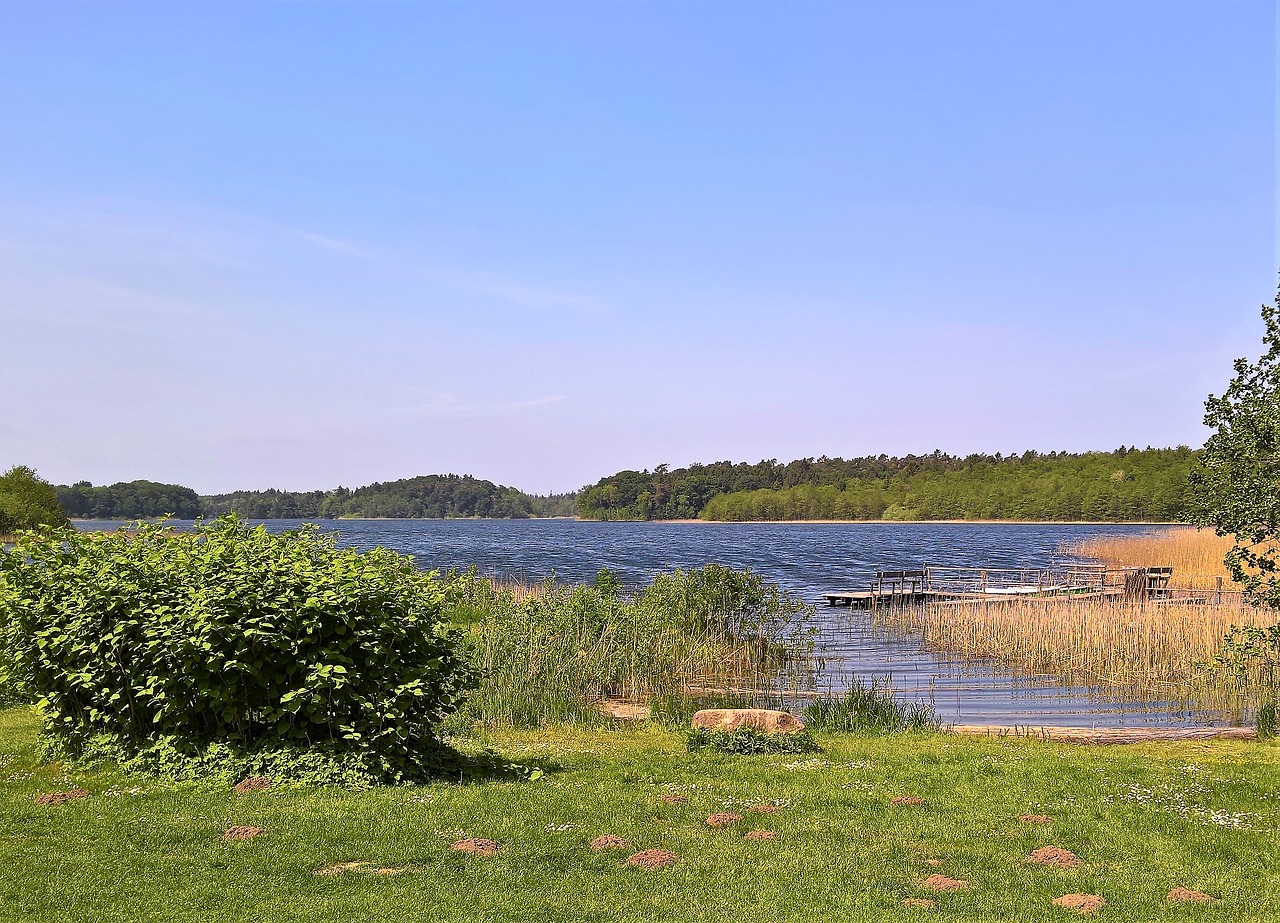 Ežeras,  Schaalsee,  Kraštovaizdis,  Šiaurės Vokietijoje,  Nendrės,  Lakeside,  Interneto,  Suolai,  Poilsio,  Gražus Vaizdas