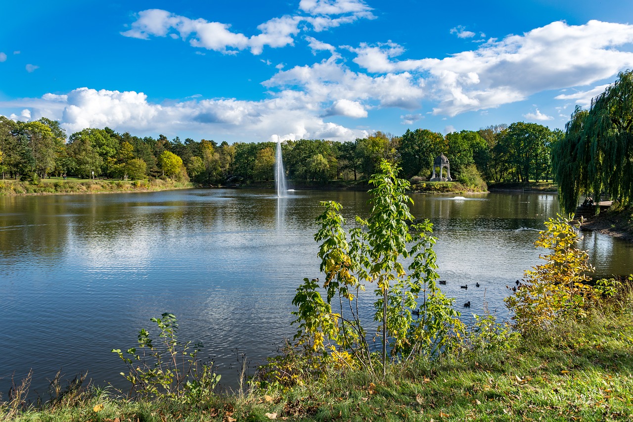 Ežeras,  Parkas,  Magdeburg,  Vandens,  Tvenkinys,  Medžiai,  Augalų,  Žalias,  Fontanas,  Šventykla