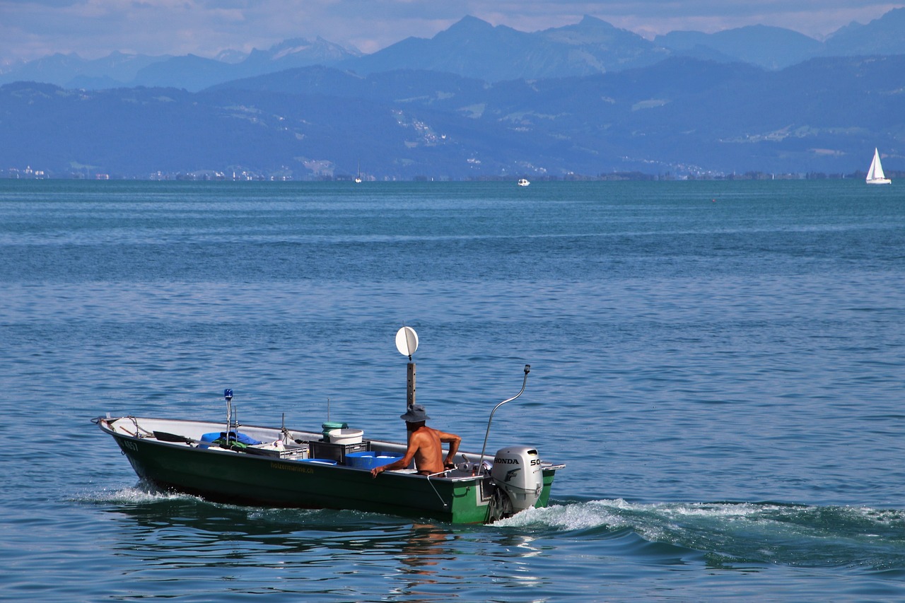 Ežeras,  Bodensee,  Kruizas,  Motorinė Valtis,  Transportas,  Variklis,  Mėlyna,  Šventė,  Greitis,  Valtis