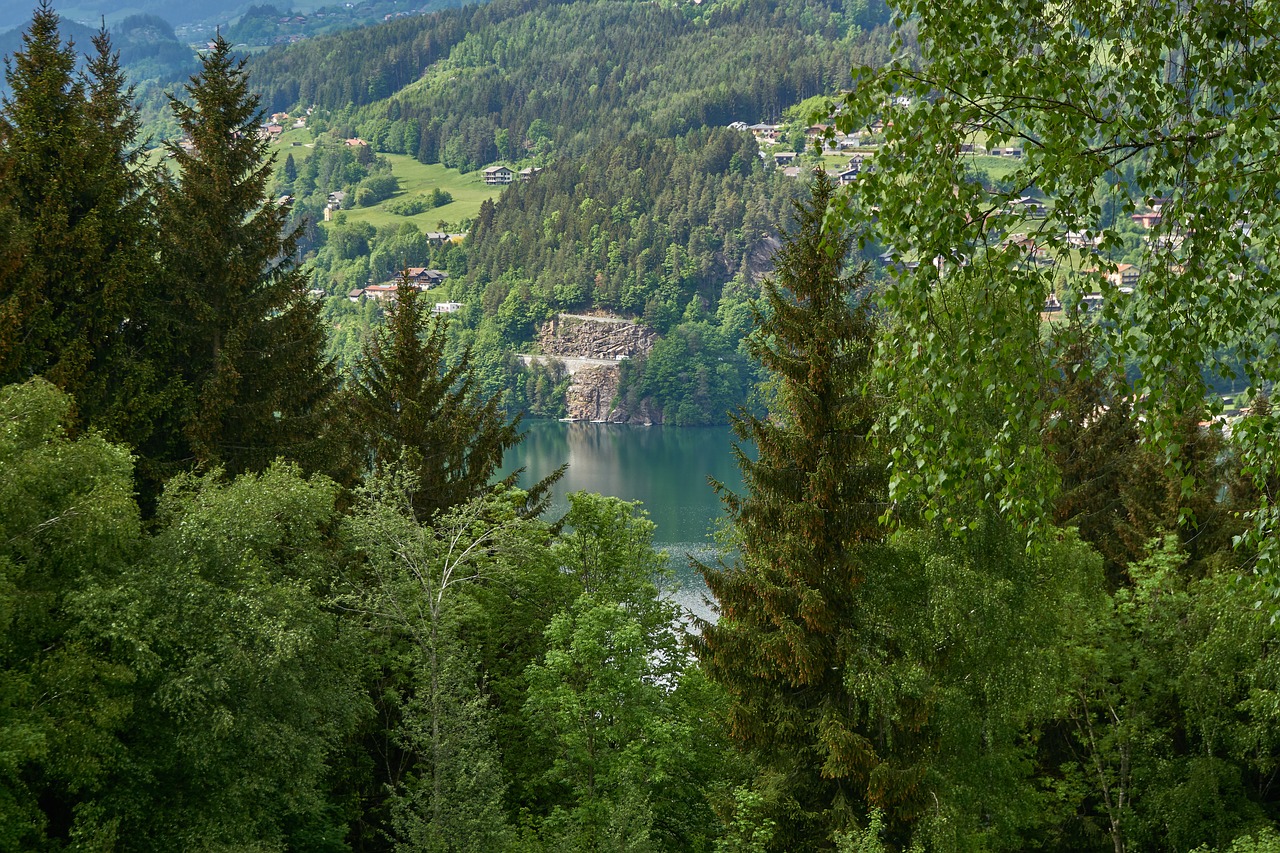 Ežeras,  Miškas,  Žalias,  Pobūdį,  Kraštovaizdis,  Medžiai,  Pavasaris,  Millstatt,  Kalnai,  Augalų