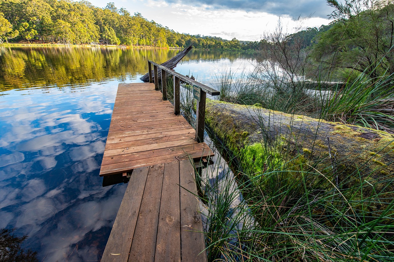 Ežeras,  Medžiai,  Vanduo, Nemokamos Nuotraukos,  Nemokama Licenzija