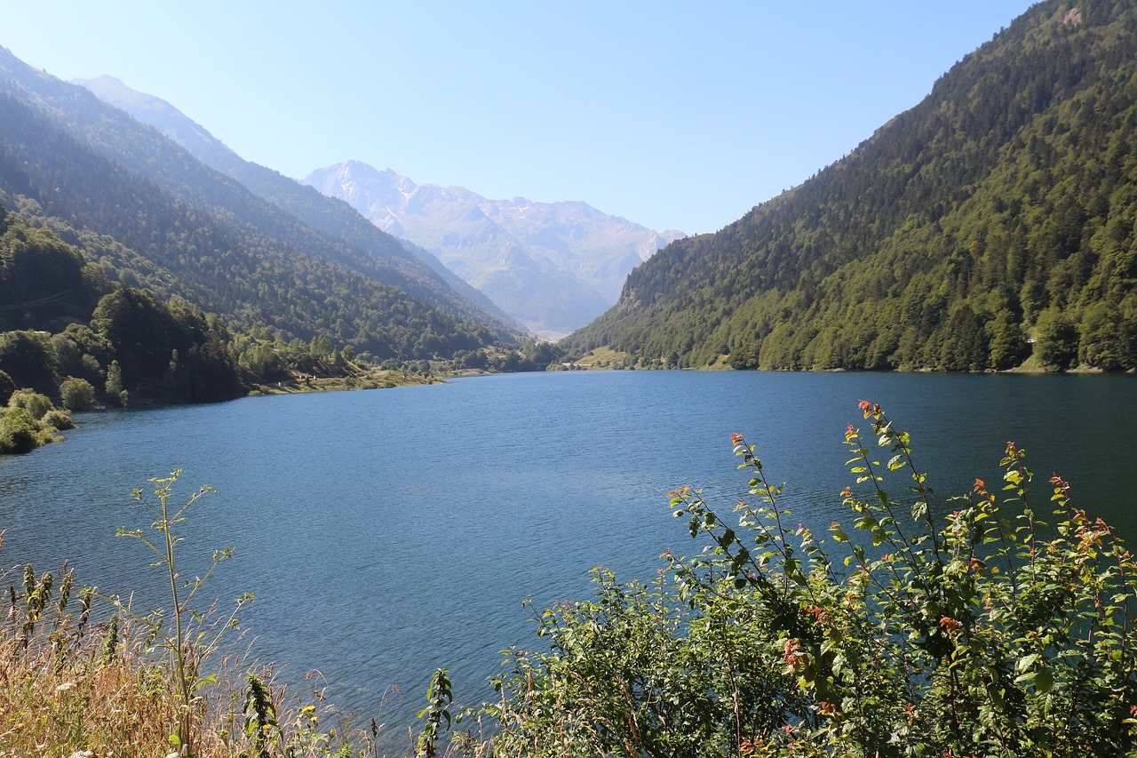 Ežeras,  Kalnų,  Pobūdį,  Medžiai,  Miškas,  Gražus,  Debesys,  Vandenys,  Vaizdingas,  Dangus