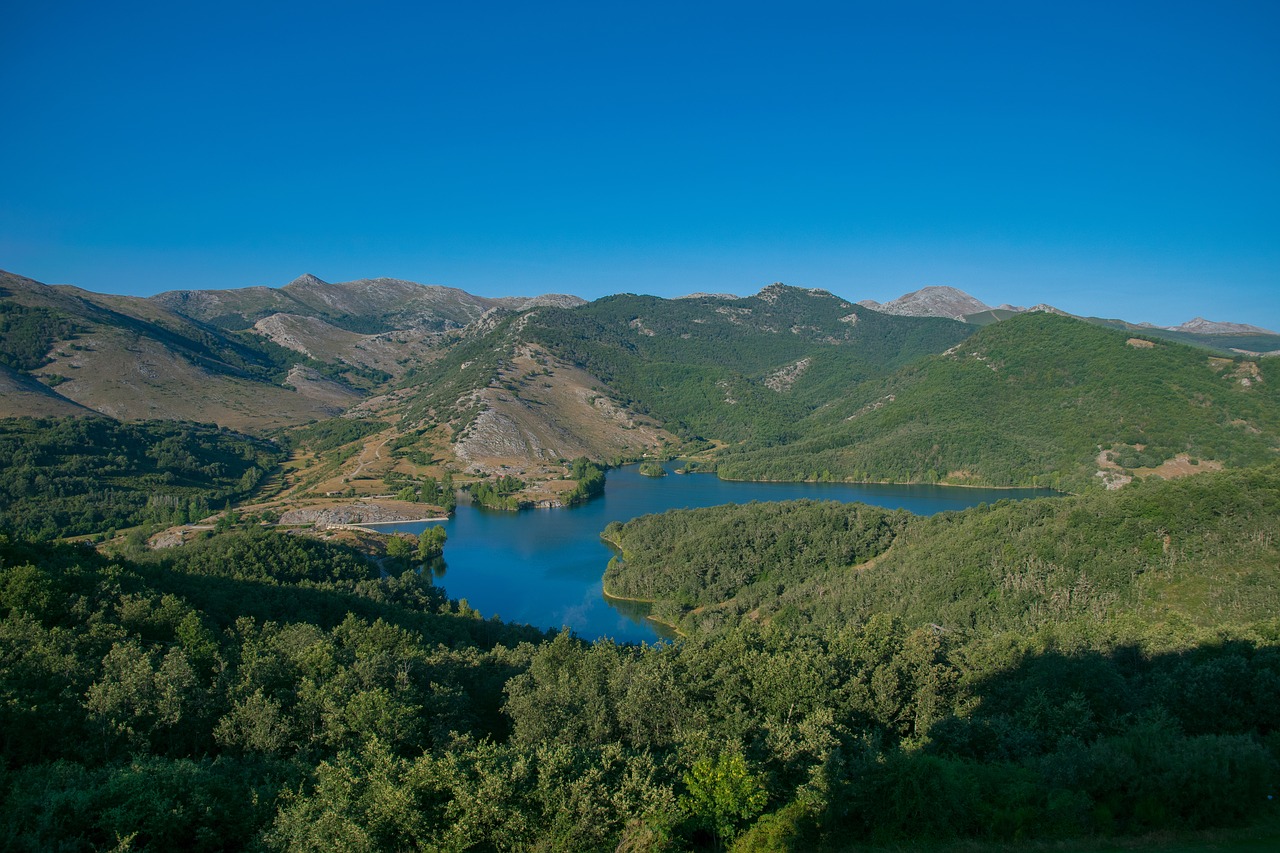 , Nemokamos Nuotraukos,  Nemokama Licenzija