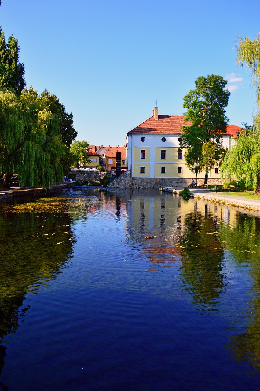 , Nemokamos Nuotraukos,  Nemokama Licenzija