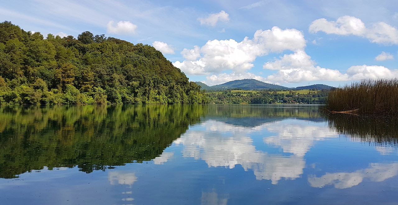 , Nemokamos Nuotraukos,  Nemokama Licenzija