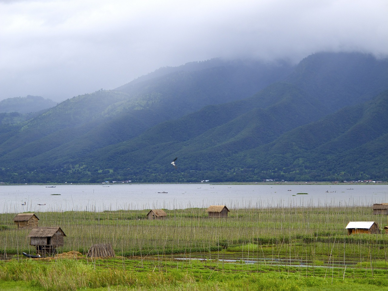 Ežeras, Inle, Burma, Kraštovaizdis, Ant Kilimėlių, Nemokamos Nuotraukos,  Nemokama Licenzija