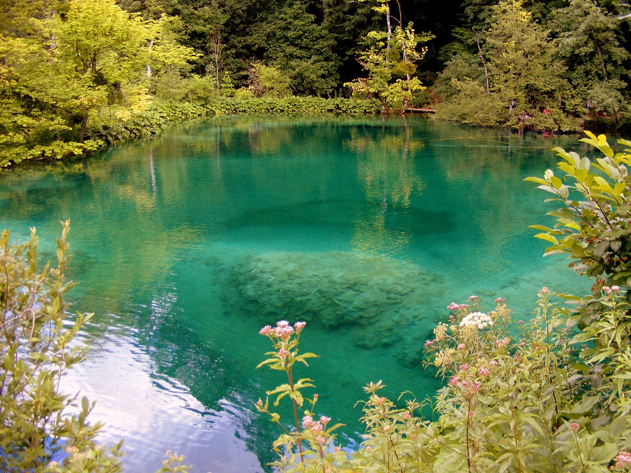 Ežeras, Mėlynas, Miškas, Plitvice, Kroatija, Nemokamos Nuotraukos,  Nemokama Licenzija