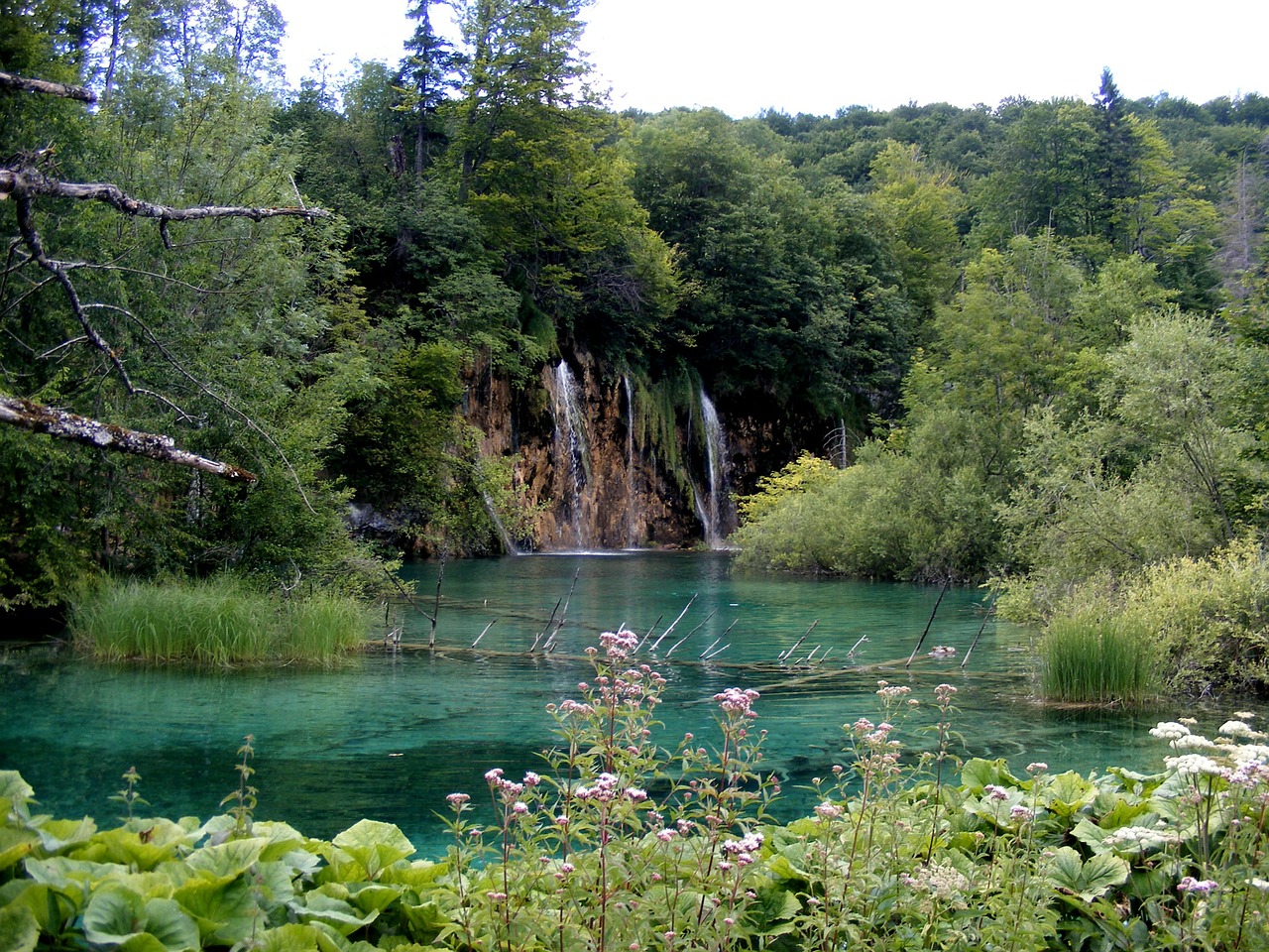 Ežeras, Plitvice, Mėlynas, Augalai, Medžiai, Žalias, Kroatija, Nemokamos Nuotraukos,  Nemokama Licenzija