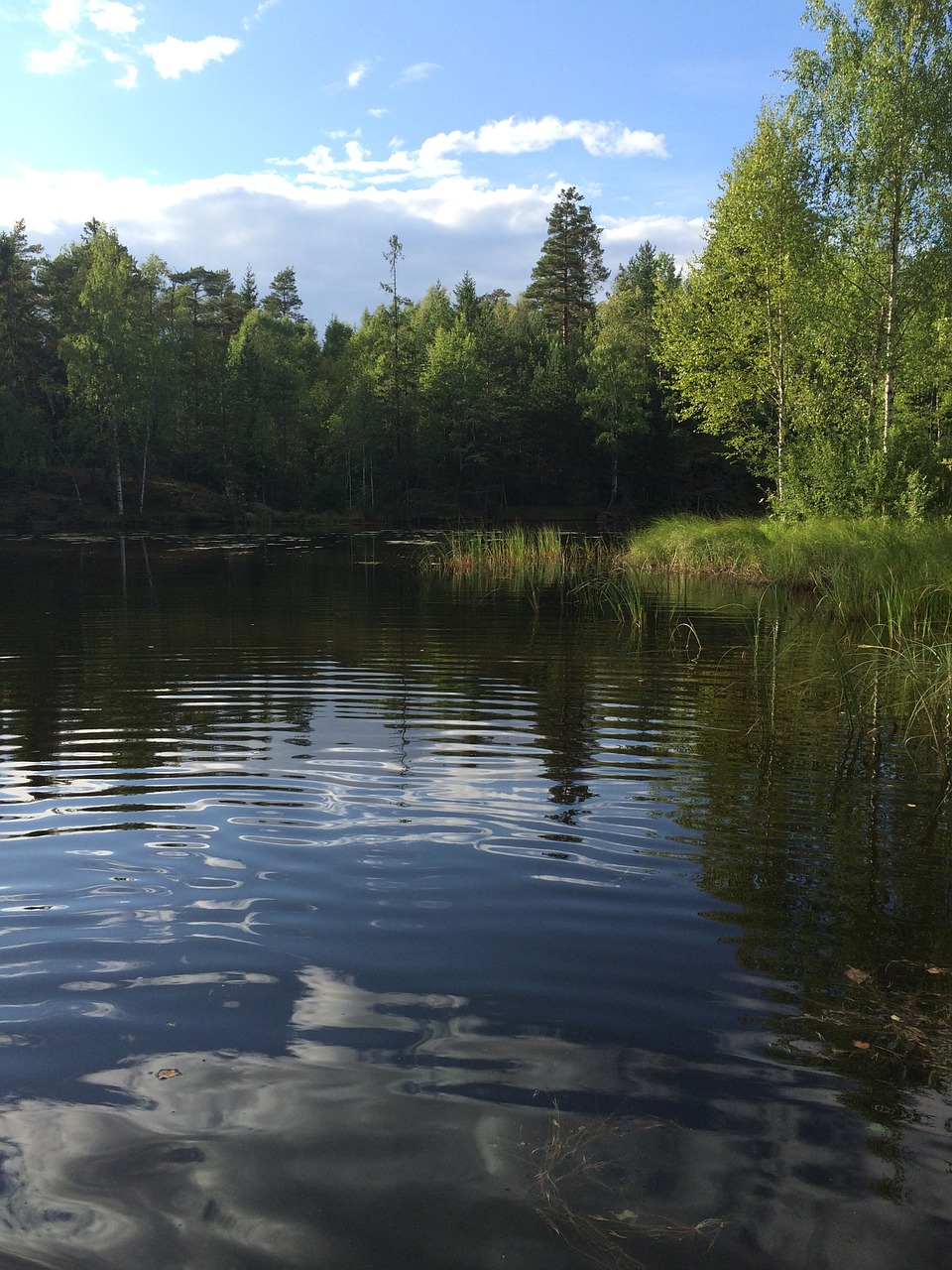 Ežeras, Pobūdis, Norvegija, Nemokamos Nuotraukos,  Nemokama Licenzija