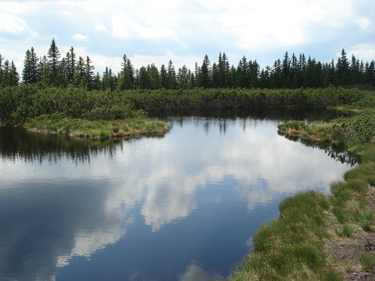 Ežeras, Pohorje, Ant Kalvos, Mėlynas, Žalias, Slovenia, Kalnas, Gamta, Pieva, Šviesus