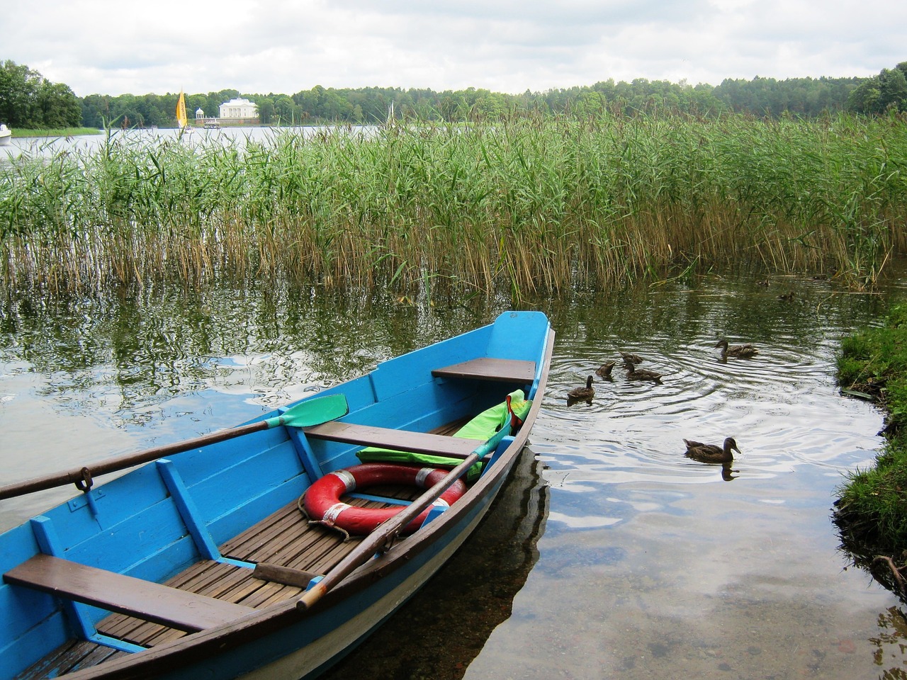 Ežeras, Valtis, Pašarų Dangtelis, Antis, Nemokamos Nuotraukos,  Nemokama Licenzija