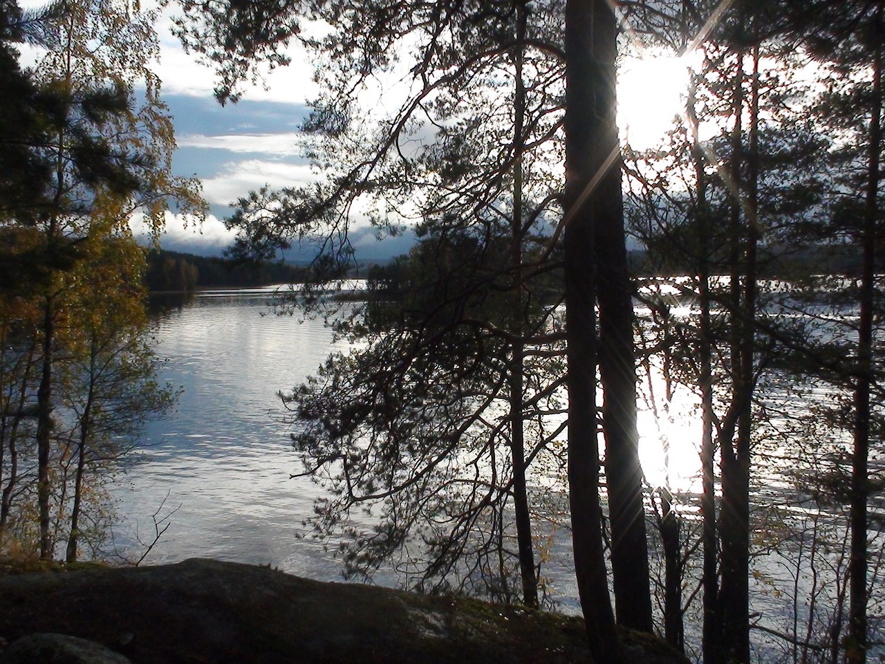 Ežeras, Vanduo, Finland, Taika, Apmąstymai, Medžiai, Miškai, Miškas, Nemokamos Nuotraukos,  Nemokama Licenzija