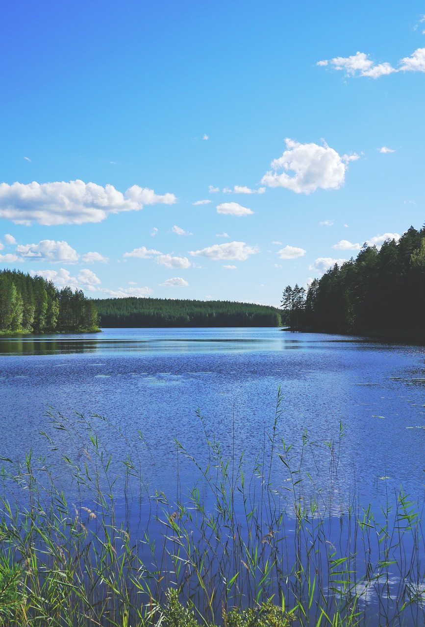 Ežeras, Kraštovaizdis, Gamta, Vanduo, Vandenys, Finland, Poilsis, Apleistas, Šiaurė, Skandinavija